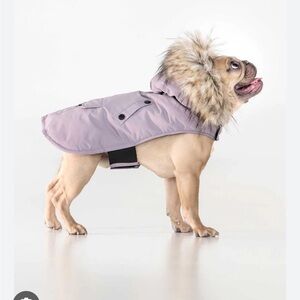 NEW Noize Karter Dog Coat with Faux Fur Trim | purple